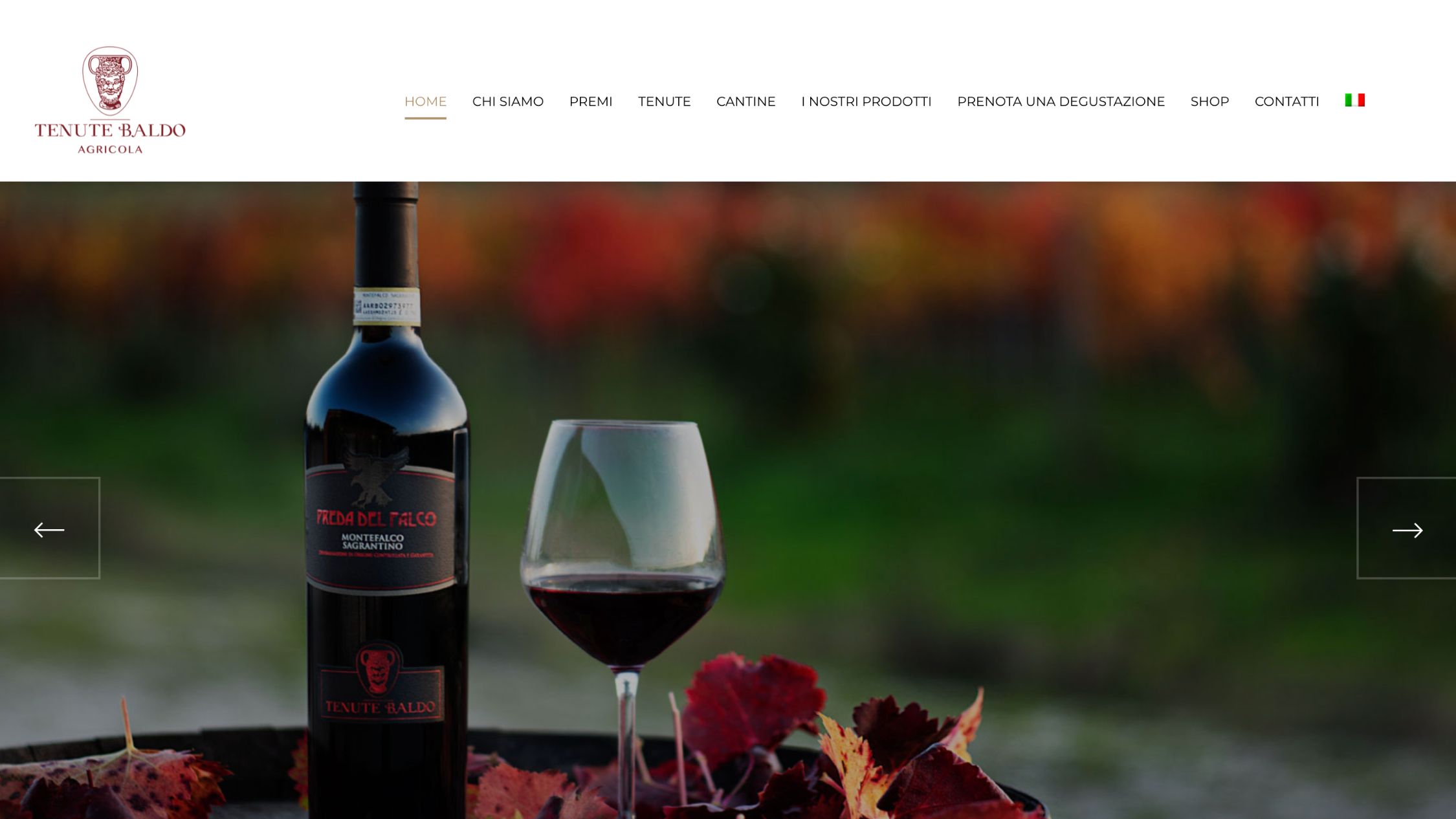 Realizzazione_sito_web_Tenute_Baldo Azienda vinicola immersa nelle colline umbre, con produzione di vini di qualità e ospitalità agrituristica.